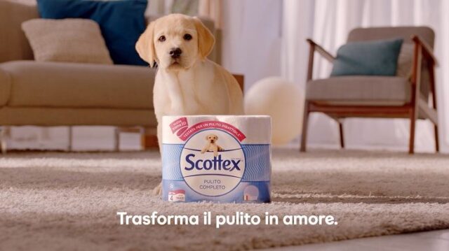 spot-scottex